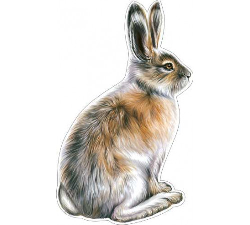 Плакат-мини в ассортименте.