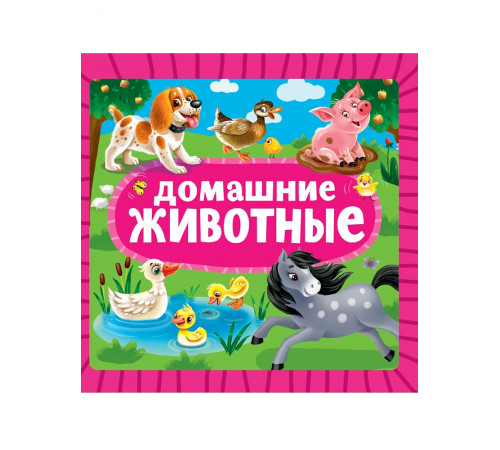 ЦК 145х145. ДОМАШНИЕ ЖИВОТНЫЕ