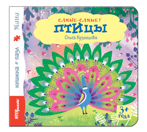 Книжка-игрушка 
