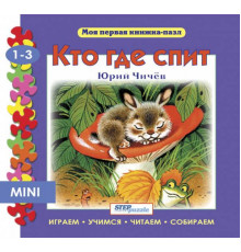 Книжка-игрушка 