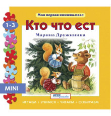 Книжка-игрушка 