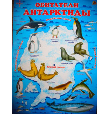 Обитатели Антарктиды (плакат)