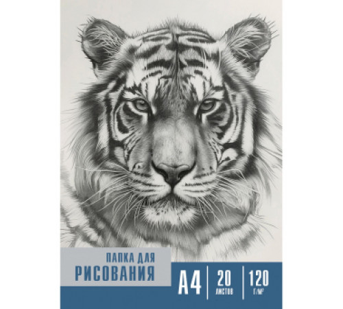 Папка для рисования А4, 20л. ЧЁРНО-БЕЛЫЕ МОТИВЫ - 5 (20-2255) цветная обл. вн.блок 120г/м2
