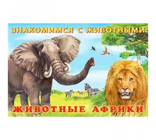 Книжки в мягкой обложке - Раннее развитие. Знакомимся с животными. Животные Африки