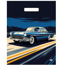 Пакет 31*40 =60 Верное направление Ламинат прор (50-500) №16