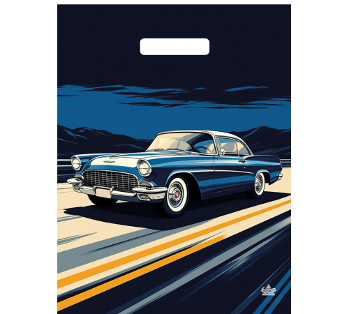 Пакет 31*40 =60 Верное направление Ламинат прор (50-500) №16