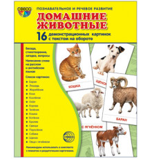 Демонстрационые картинки СУПЕР Домашние животные 16 дем.картинок с текстом(учебно-методическое пособие с комплектом демонстрационного материала 173х220мм,познавательное и речевое развитие)
