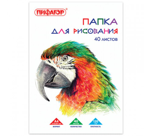 Папка для рисования А4, 40л., 120 г/м2, ПИФАГОР, 210х297мм, Попугай, 129222