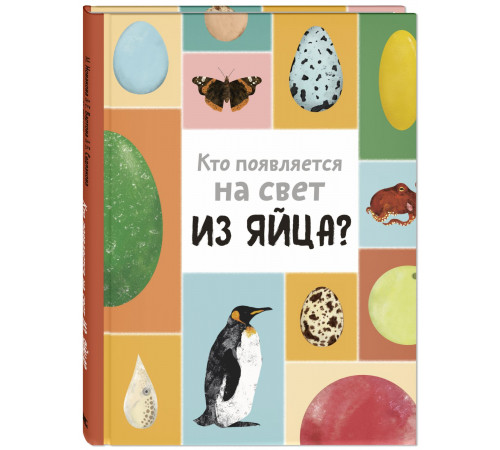 Кто появляется на свет из яйца? Седлакова Б.