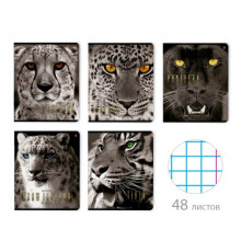 ТЕТРАДЬ 48Л.  