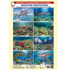 Демонстрационные картины А3. Морские обитатели. Методич. мат-л к ООП ДОО (8 картин+этикет. с текстом)