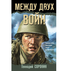 Боевая хроника. Романы о памятных боях. Между двух войн