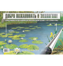 Добро пожаловать в экологию. Демонстрационные картины и динамические модели для занятий с детьми 5-6 лет ( старшая группа). ФГОС.