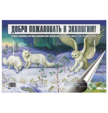 Добро пожаловать в экологию. Демонстрационные картины и динамические модели для занятий с детьми 6-7 лет ( подготовительная к школе группа). ФГОС.