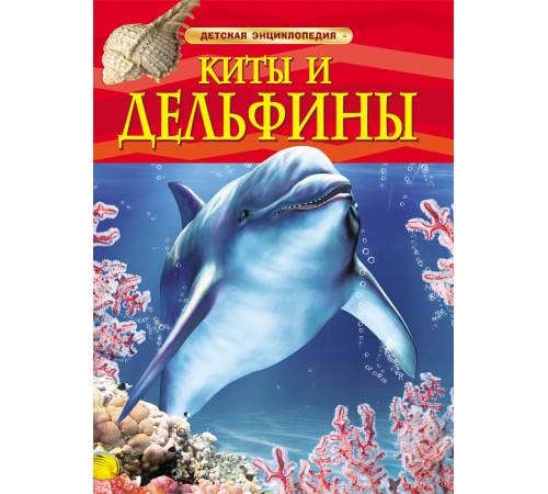Киты и дельфины. Детская энциклопедия