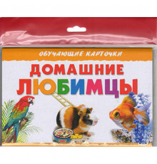 Обучающе карточки. Карточки (европодвес). Домашние любимцы 