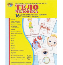 Демонстрационые картинки СУПЕР Тело человека 16 демонстр.картинок с текстом(учебно-методическое пособие с комплектом демонстрационного материала 173х220мм)