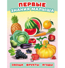 Развивающие задания и тесты. Первые знания малыша. Овощи,фрукты,ягоды