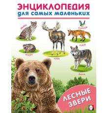 Книжки в мягкой обложке - Раннее развитие. Энциклопедии для самых маленьких. Лесные звери