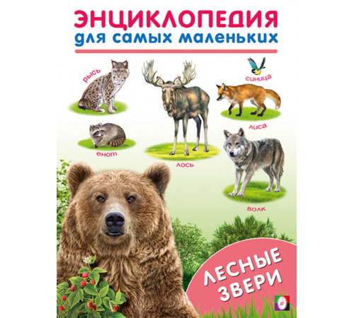 Книжки в мягкой обложке - Раннее развитие. Энциклопедии для самых маленьких. Лесные звери