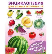 Книжки в мягкой обложке - Раннее развитие. Энциклопедии для самых маленьких. Овощи,фрукты,ягоды