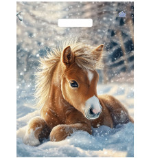 ТК.Пакет прорубка 31*40=60 мкм -Ветерок