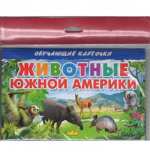Обучающе карточки. Карточки (европодвес). Животные Южной Америки . Литур.