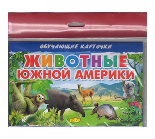 Обучающе карточки. Карточки (европодвес). Животные Южной Америки . Литур.