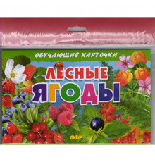 Обучающе карточки. Карточки (европодвес). Лесные ягоды