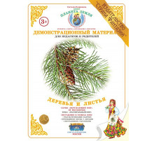 Демонстрационный материал 