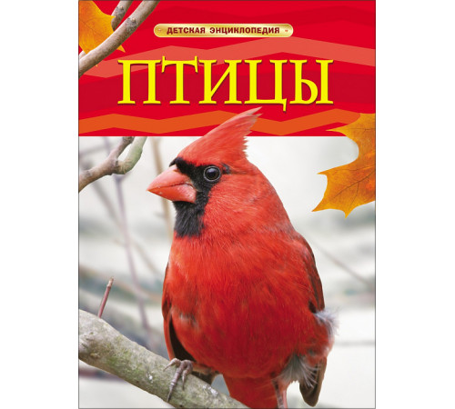 Птицы. Детская энциклопедия