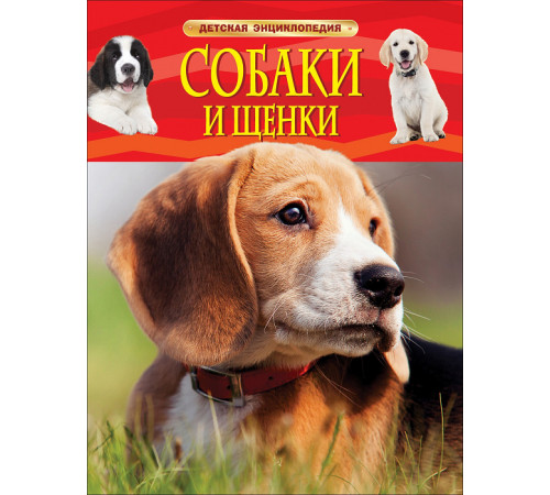 Собаки и щенки. Детская энциклопедия