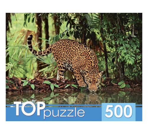 TOPpuzzle. ПАЗЛЫ 500 элементов.  Ягуар на водопое