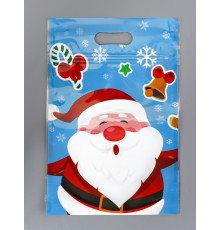 Пакет подарочн.НГ 15*23 Дед мороз на голубом .Зип-Лок