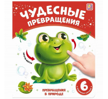 Чудесные превращения.Превращения в природе
