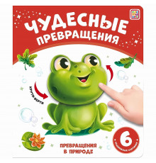 Чудесные превращения.Превращения в природе