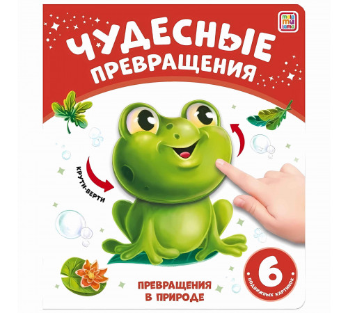 Чудесные превращения.Превращения в природе