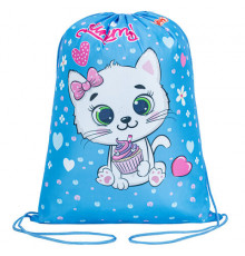 Мешок для обуви ПИФАГОР, 1 отделение, 42х34 см, 