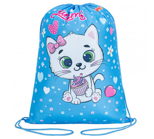 Мешок для обуви ПИФАГОР, 1 отделение, 42х34 см, 