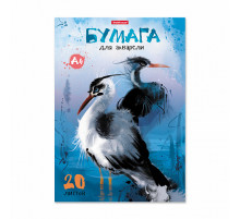 Альбом для рисования с бумагой для акварели на клею ErichKrause Птицы жарких стран, А4, 20 листов,43369