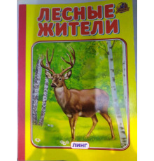 Линг.Книжка-картонка А5  Лесные жители