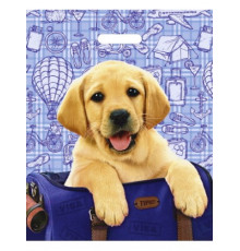 Пакет Ламинат прорубная ручка 38*47=60 Ламинат Турист прор (50/500) №9