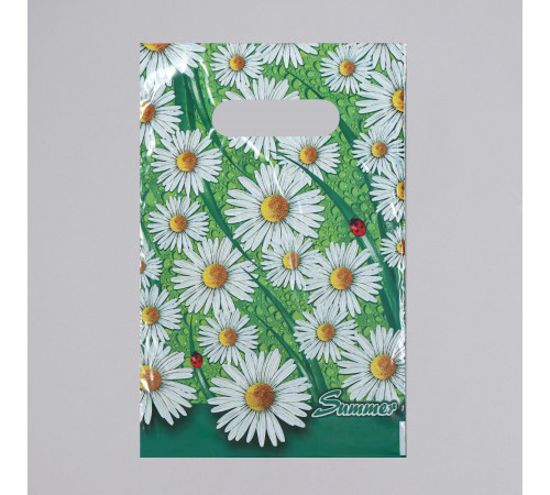 Пакет мини прорубная ручка 20*30=30 ВД 