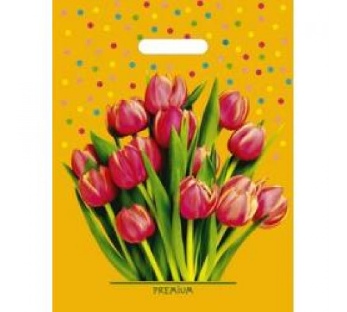 Пакет Прорубка 31*40=60 Ламинат 