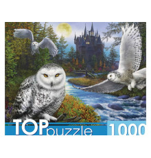 TOPpuzzle. ПАЗЛЫ 1000 элементов. Ф1000-9941 Магическая сова и замок