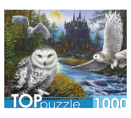 TOPpuzzle. ПАЗЛЫ 1000 элементов. Ф1000-9941 Магическая сова и замок