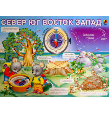 Север-юг-восток-запад. (плакат)