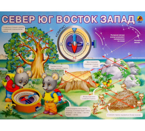 Север-юг-восток-запад. (плакат) Север-юг-восток-запад. (плакат)