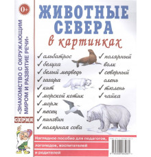 Животные севера в картинках. Наглядное пособие для педагогов, логопедов, воспитателей, родителей.А4