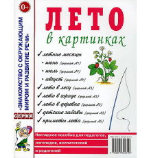 Лето в картинках. Наглядное пособие для педагогов, логопедов, воспитателей, родителей. А4
